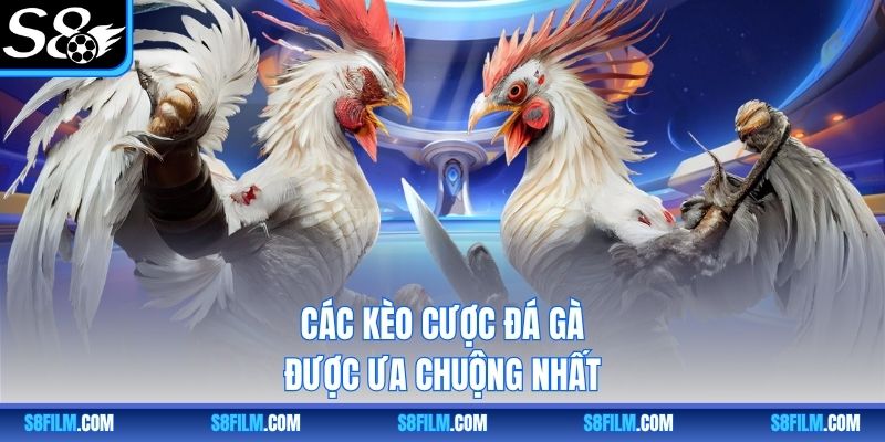 Các kèo cược đá gà được ưa chuộng nhất