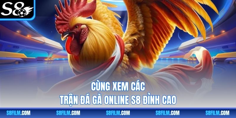 Cùng xem các trận đá gà online S8 đỉnh cao