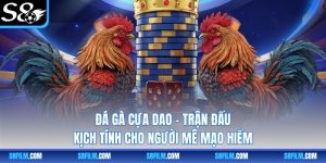 Đá Gà Cựa Dao – Trận Đấu Kịch Tính Cho Người Mê Mạo Hiểm