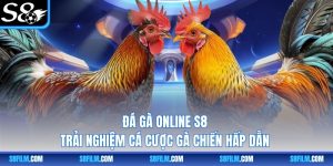 Đá Gà Online S8 - Trải Nghiệm Cá Cược Gà Chiến Hấp Dẫn