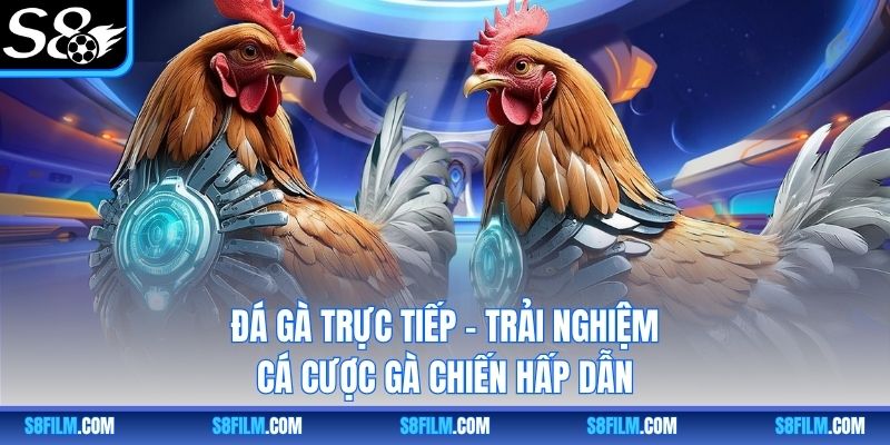 Đá Gà Trực Tiếp – Trải Nghiệm Cá Cược Gà Chiến Hấp Dẫn