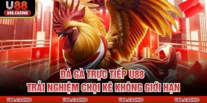 Đá Gà Trực Tiếp U88 - Trải Nghiệm Chọi Kê Không Giới Hạn