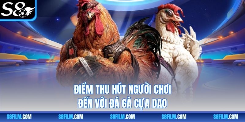 Điểm thu hút người chơi đến với đá gà cựa dao