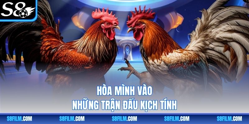 Hòa mình vào những trận đấu kịch tính