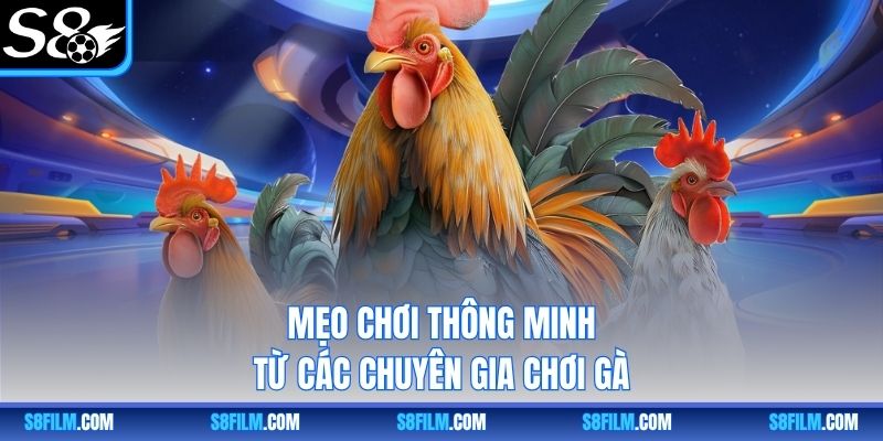 Mẹo chơi thông minh từ các chuyên gia chơi gà