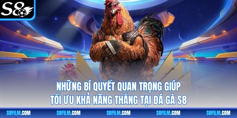 Những bí quyết quan trọng giúp tối ưu khả năng thắng tại đá gà S8