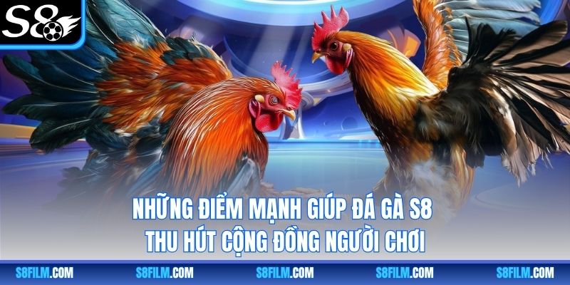 Những điểm mạnh giúp đá gà S8 thu hút cộng đồng người chơi