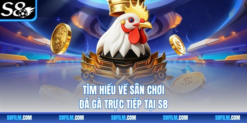 Tìm hiểu về sân chơi đá gà trực tiếp tại S8