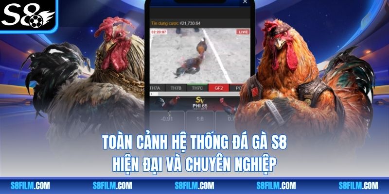 Toàn cảnh hệ thống đá gà S8 hiện đại và chuyên nghiệp