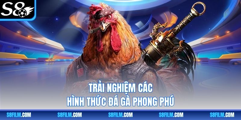 Trải nghiệm các hình thức đá gà phong phú
