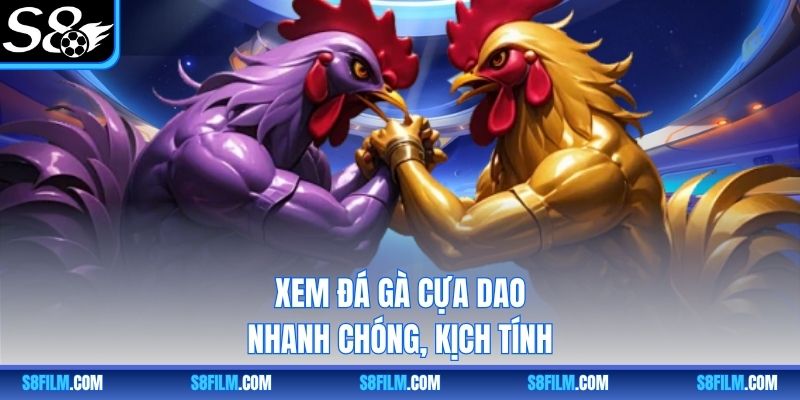 Xem đá gà cựa dao nhanh chóng, kịch tính